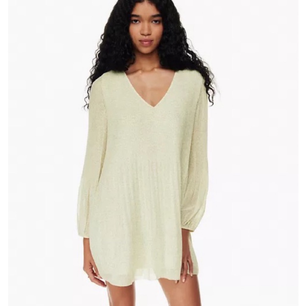 Aritzia Daydreamer Mini Dress